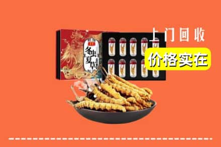 昭通昭阳区回收虫草